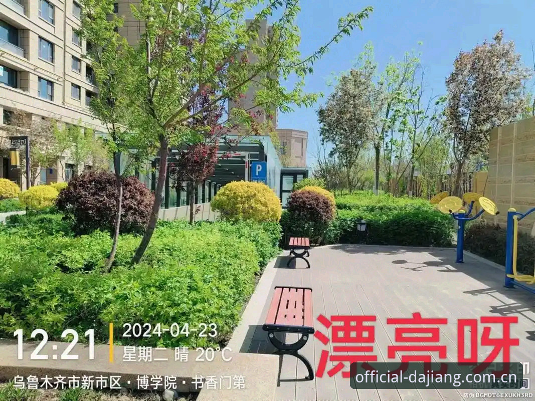 大江体育平台手机版实用指南：官网地址获取与2024最新版必备知识